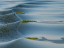 2024 Nr.4 -  Freies Thema in Farbe -