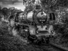 Lichtbildnergruppe Esslingen - ©D.Becker