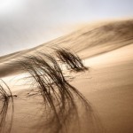 2018-06_02Marocco_esk
