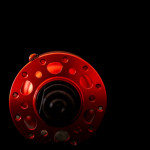 2025-04_GIP_ell