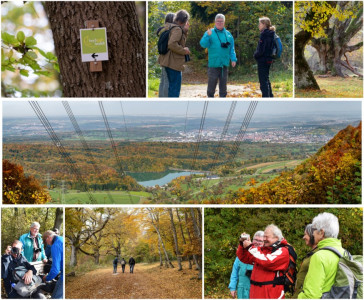 Herbstwanderung 2025 1