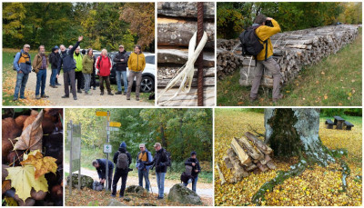Herbstwanderung 2025 - 3