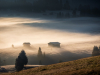 1.Platz – E.Leiner – Clubwettbewerb Licht und Schatten